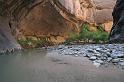F003 N.P. Zion